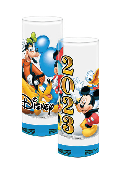 Disney Mickey and Friends Florida Collector Glass 
