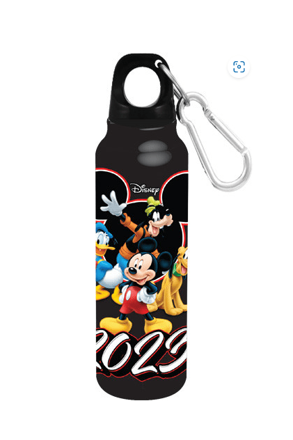 2023 Mickey and Friends Flip Top Water Bottle