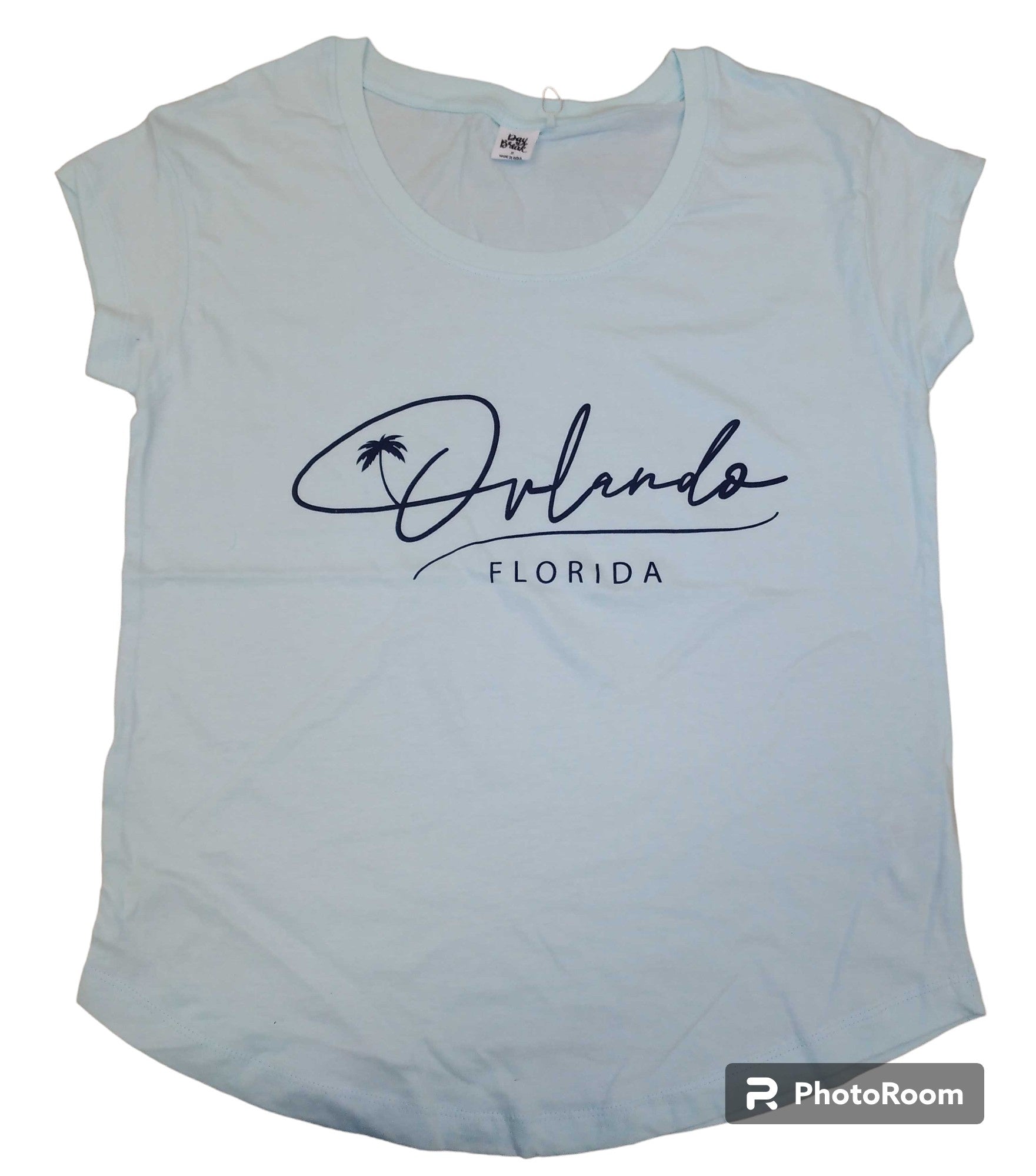 Pool Day Ladies T-Shirt