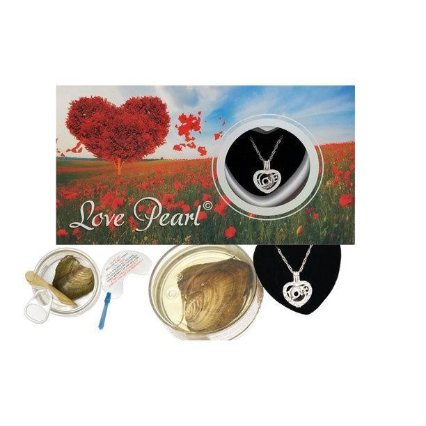 Love Heart Cage Pendant Love Wish Pearl Kit Cultured Pearl Oyster Necklace Kit