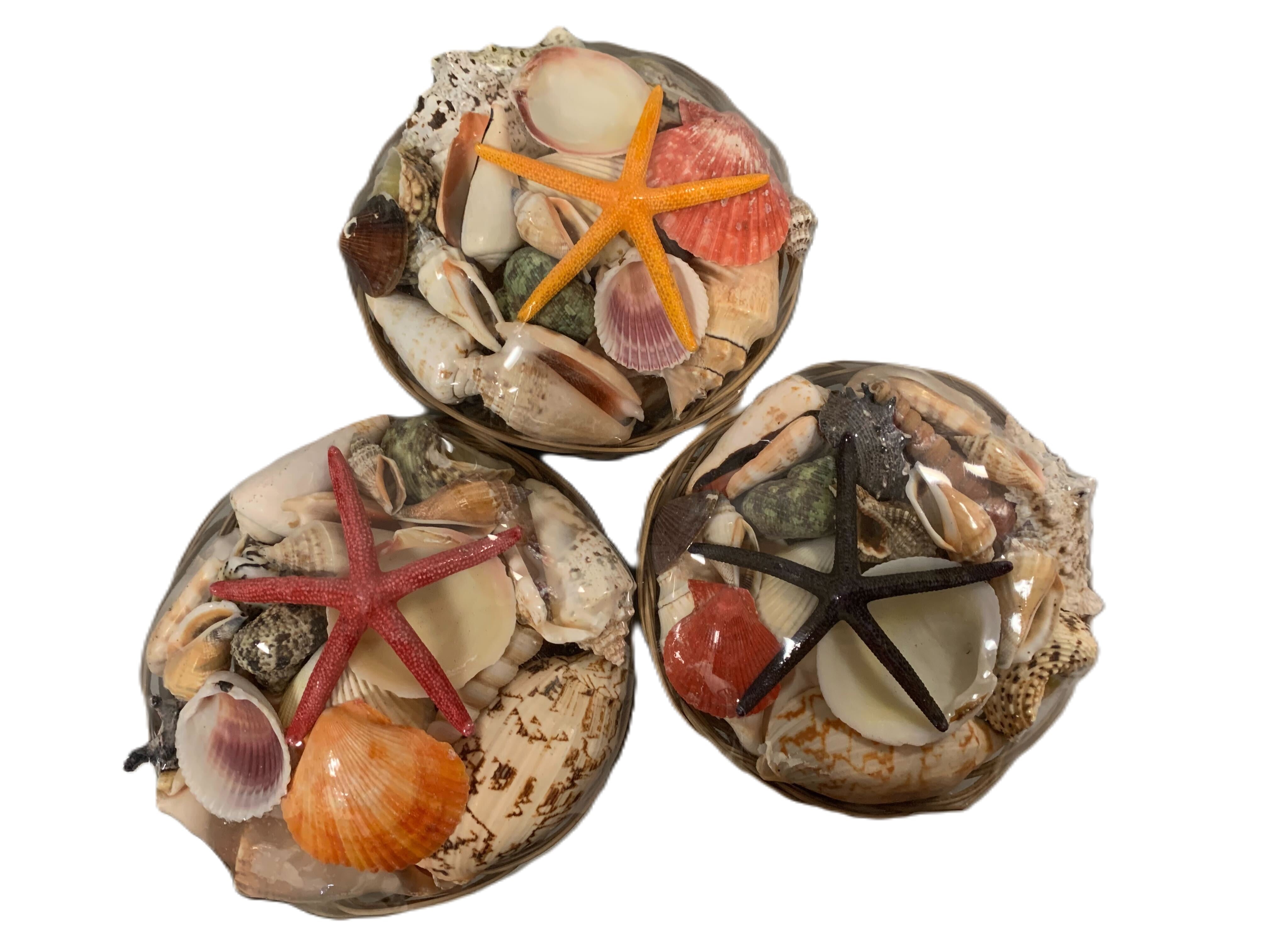 BASKET SHELL PACK 6in 1pc