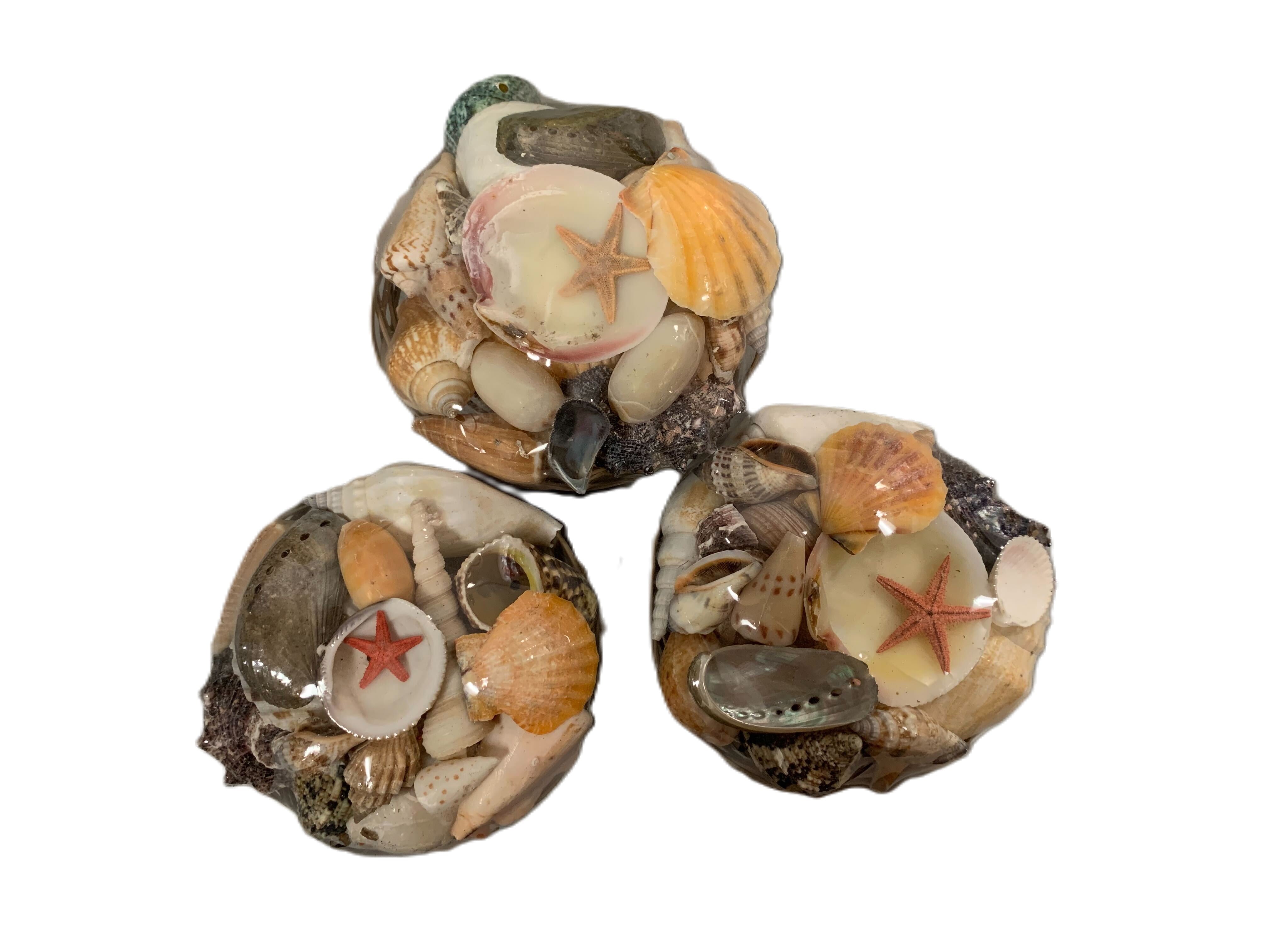 BASKET SHELL PACK 4IN 1pc