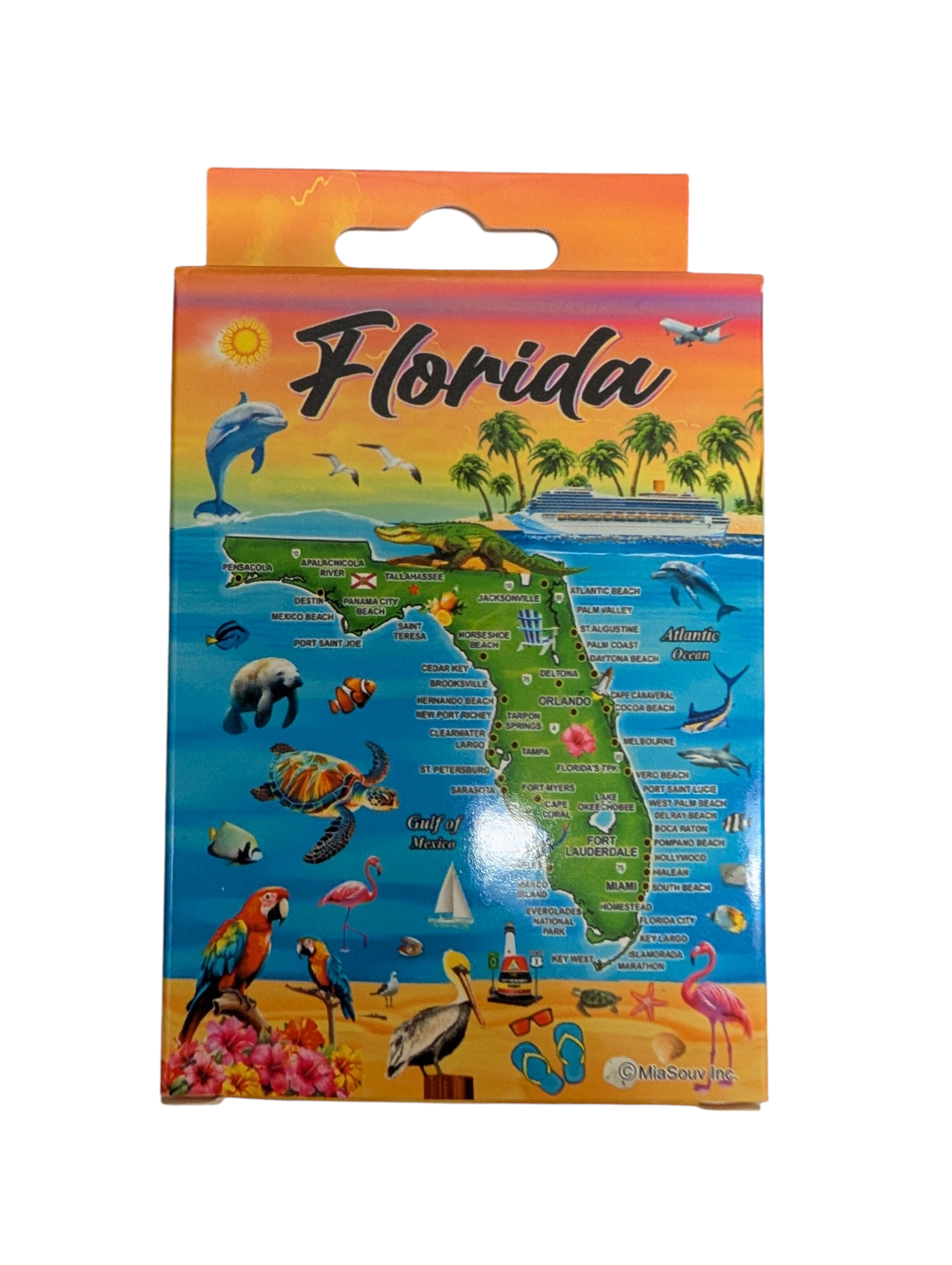 Tropical View Florida Map Playing Card