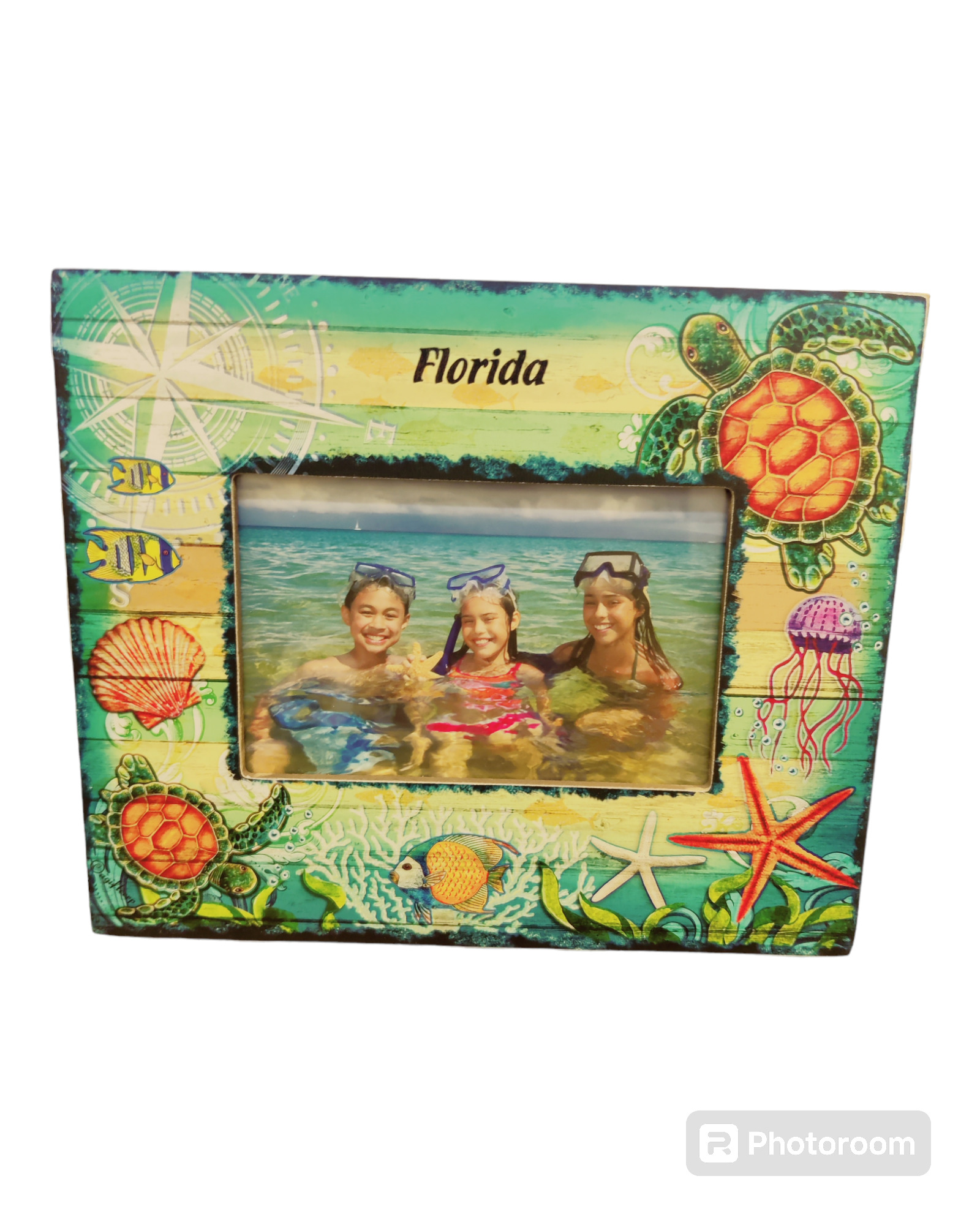 TURTLE SCREEND ART/WOOD 4X6" P/FRAME