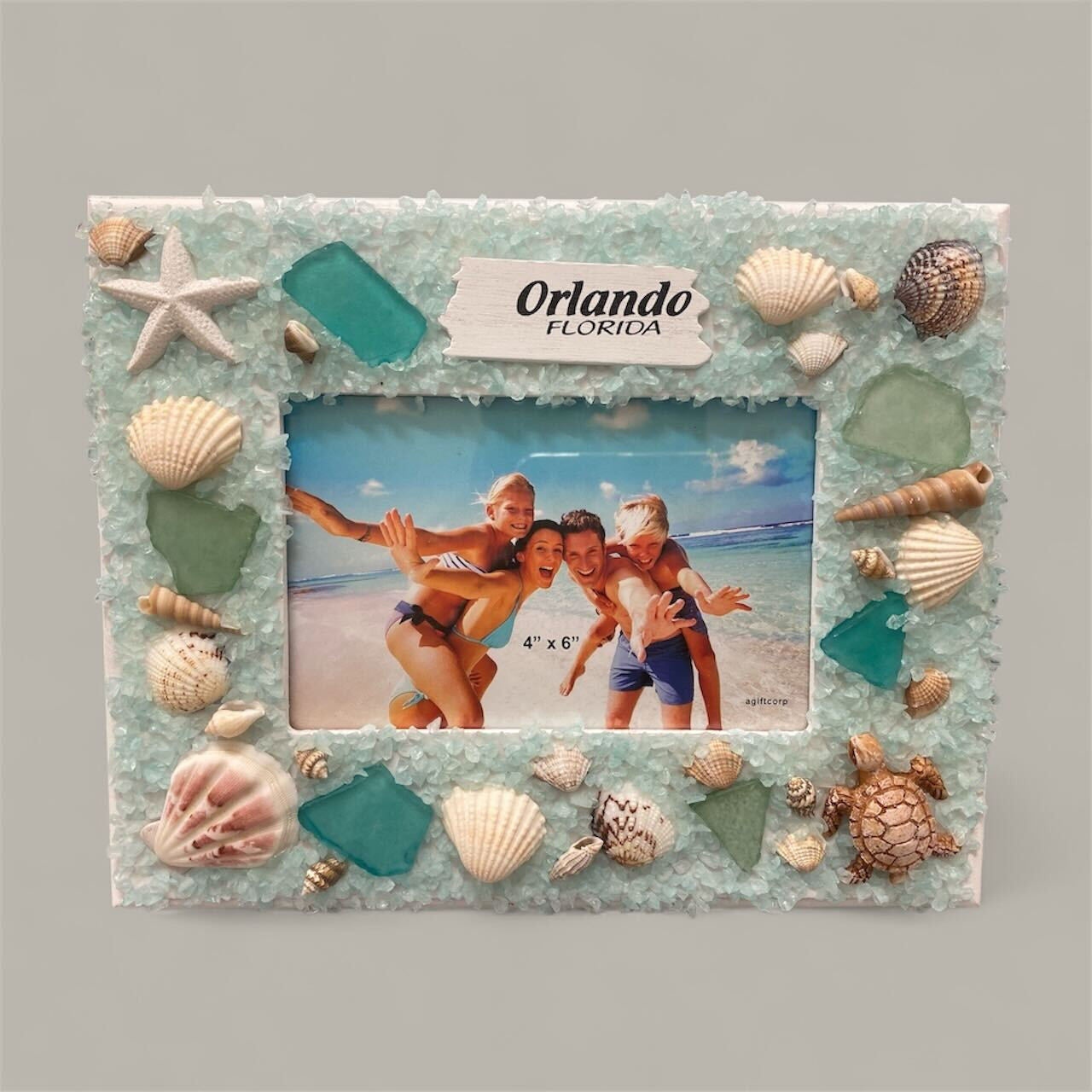 Florida The shell, sand and Turtle Photo Frame