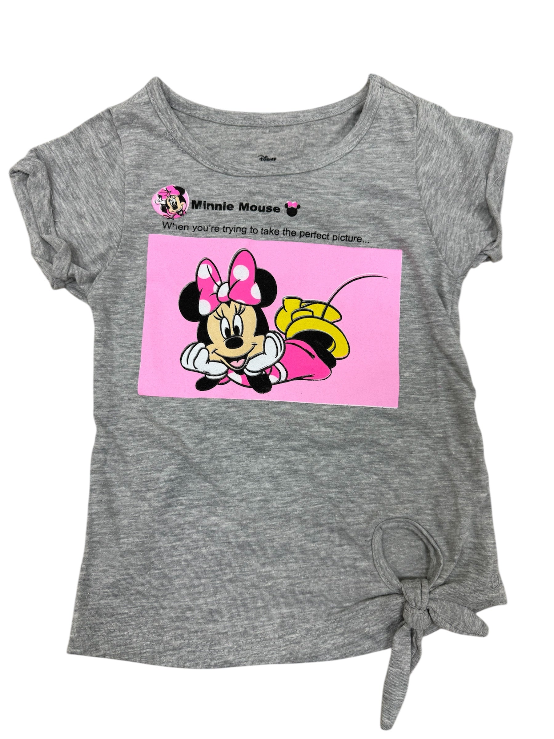 Disney Minnie Mouse Picture Perfect Girls' T-Shirt - Pink/Grey