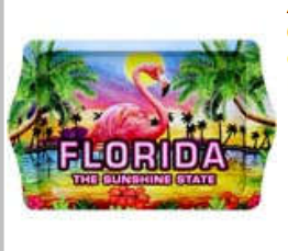 Florida Flamingo Palms 10x6 Tin Tray