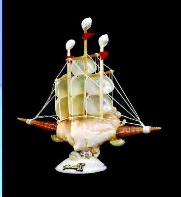 Florida Abalone Sail Boat