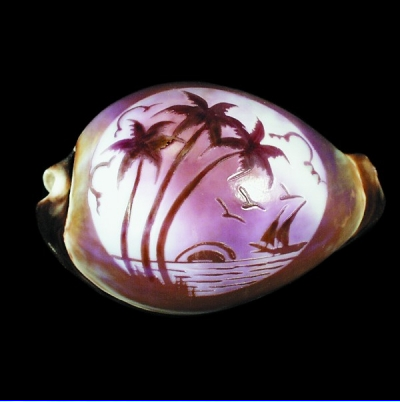 Palm Tree Carved Cypraea Tigris - Scenery