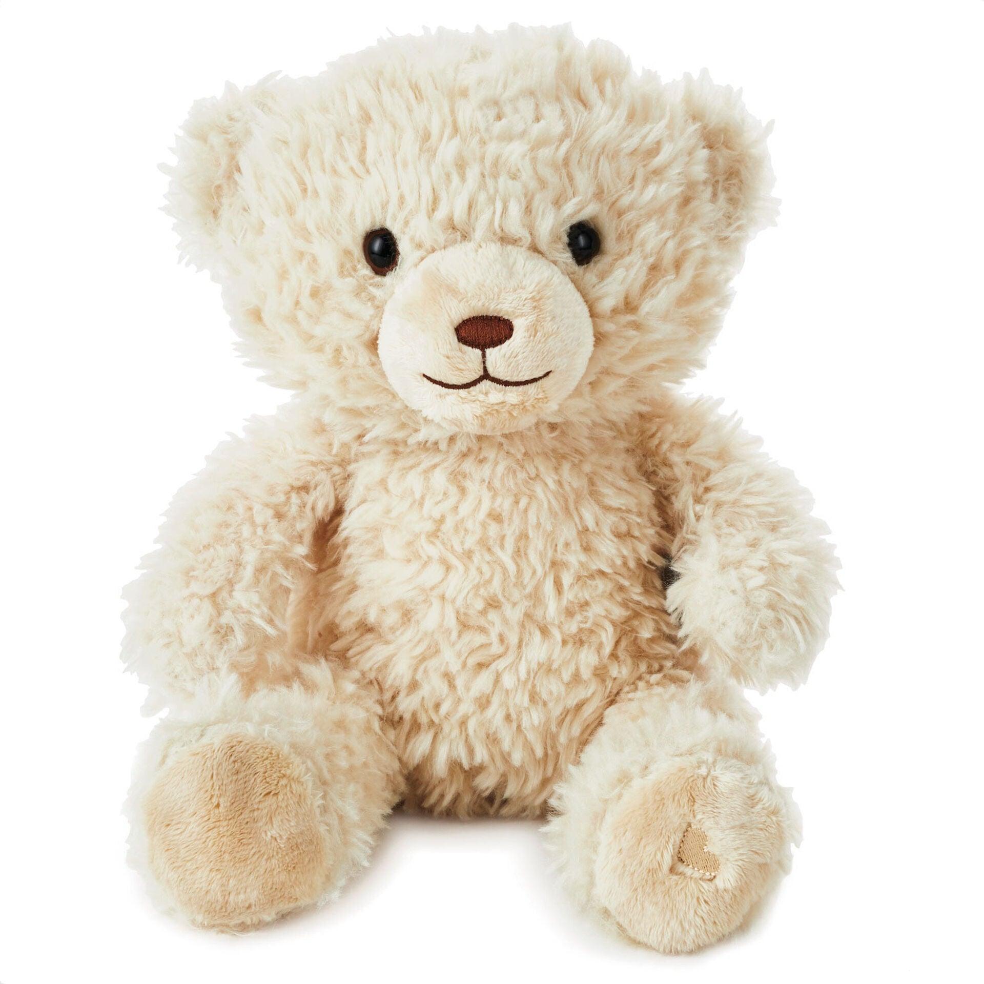 Be There When You Can’t Recordable Bear Stuffed Animal