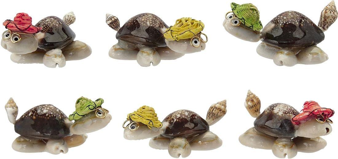 Cowrie Turtle w/ Mulit-Colored Hat