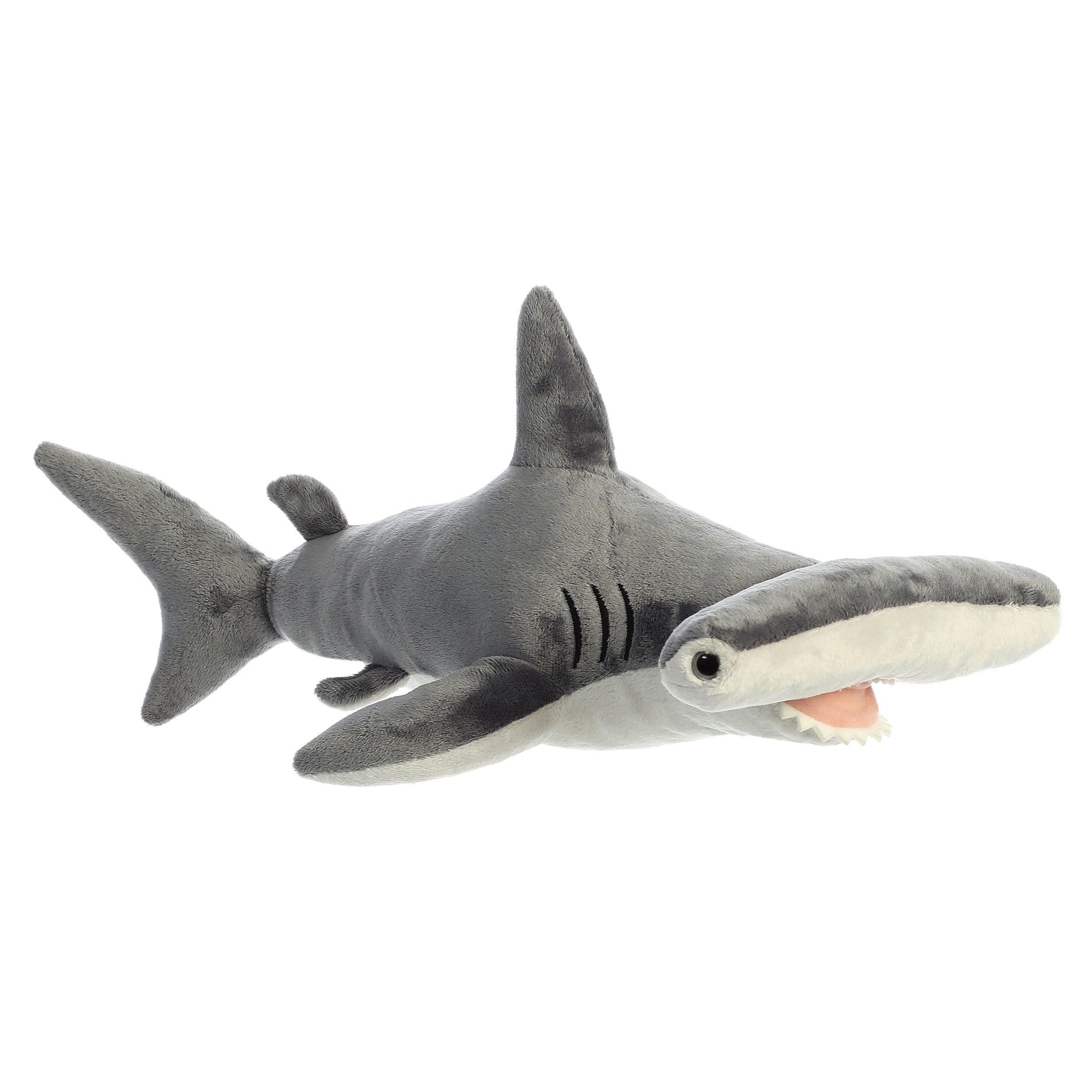 Destination Nation - 12" Hammerhead Shark