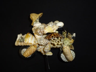 Biker-Shell Decoration