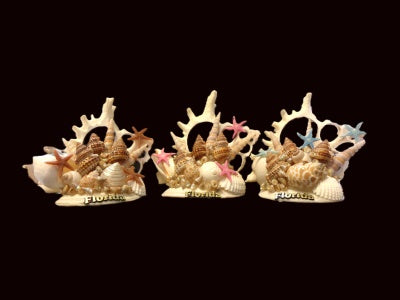 Sliced Murex Arrangement with Shells & Sealife 1pc