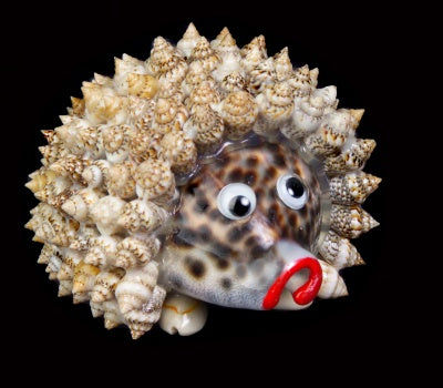 Hedgehog-Shell Decoration