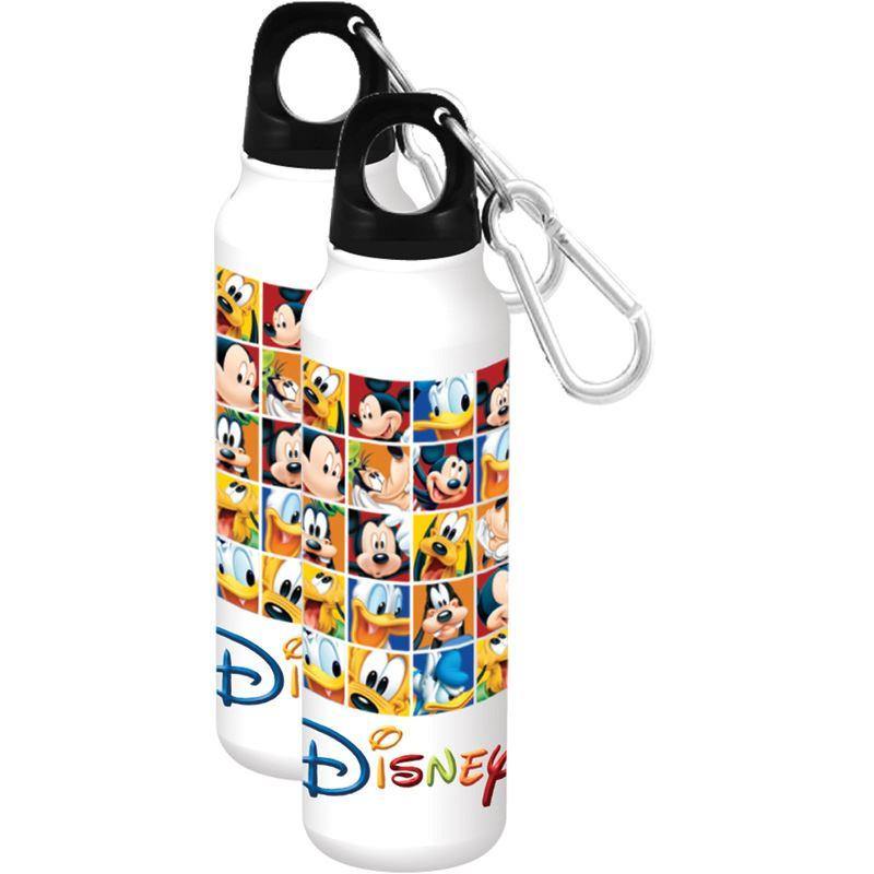 Disney Rubik's Aluminum Water Bottle