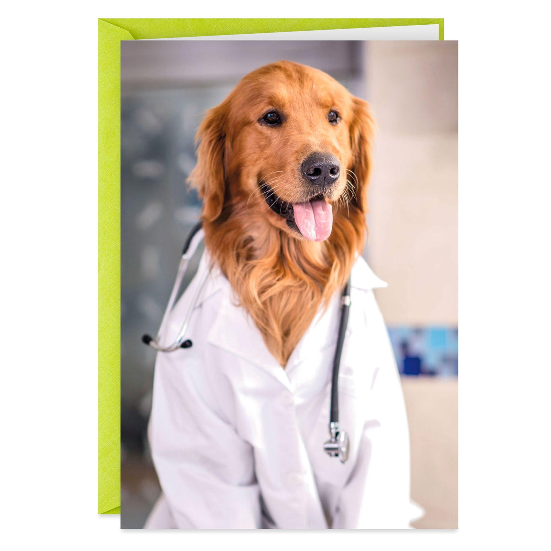 Dog Doctor's Orders Get Well Card