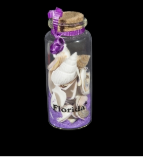 Bottle with Sand & Shells Assrt - 1pc