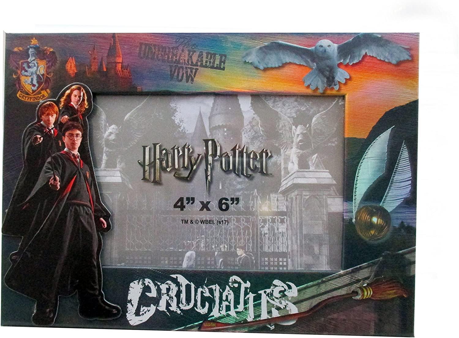 Harry Potter Gryffindor Cruciatus Unbreakable Vow Magnetic 4 X 6 Picture Frame