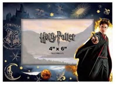 Harry Potter Snitch 4x6 Magnetic Photo Frame