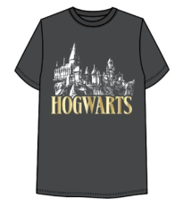 Junior Harry Potter Hogwarts Fort Unisex Tour Tee