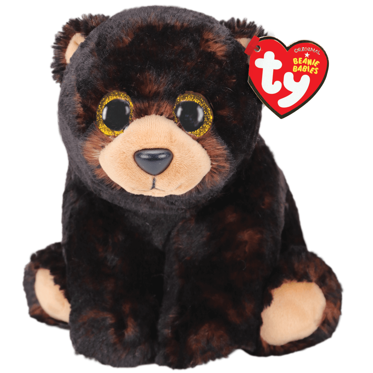 Kodi Black Bear