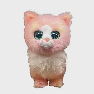 Ty Beanie Boos- Lady the Cat