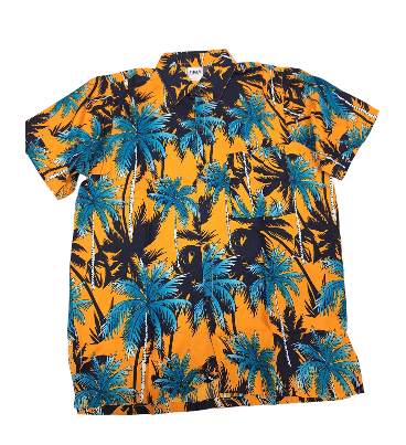 Palm Men's Hawaiian Shirt Assrt