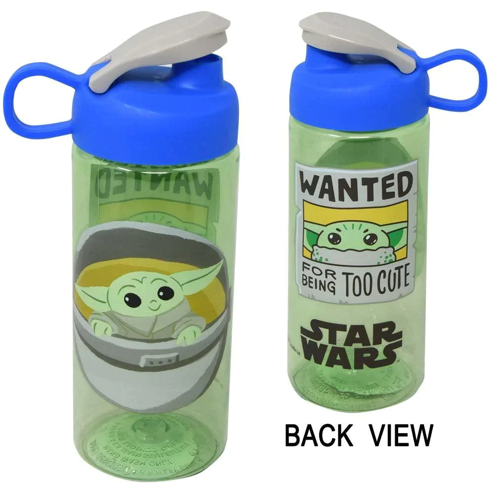 The Child 16.5oz Sullivan Bottle