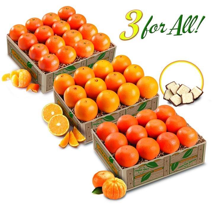 3 for All- Mandarins, Navels, Scarlets