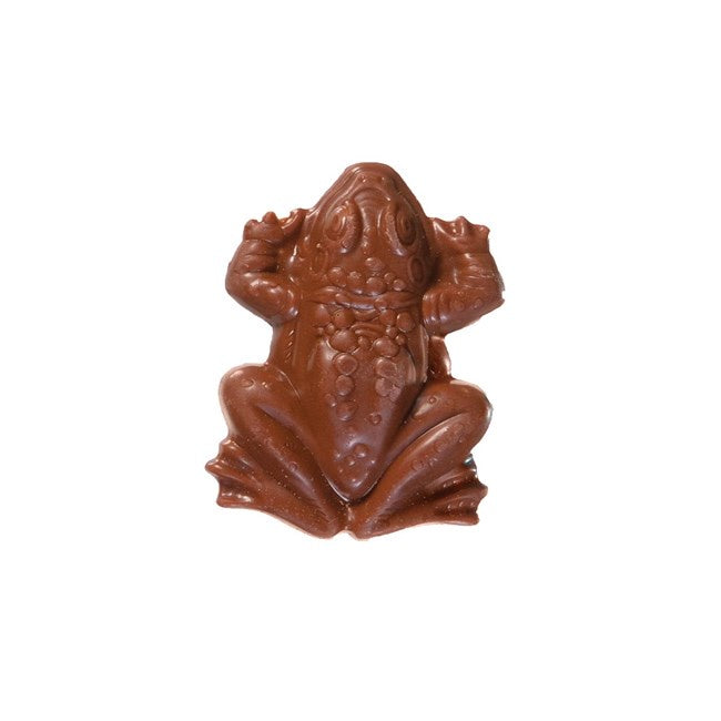 Harry Potter™ Chocolate Frog - 0.55 oz