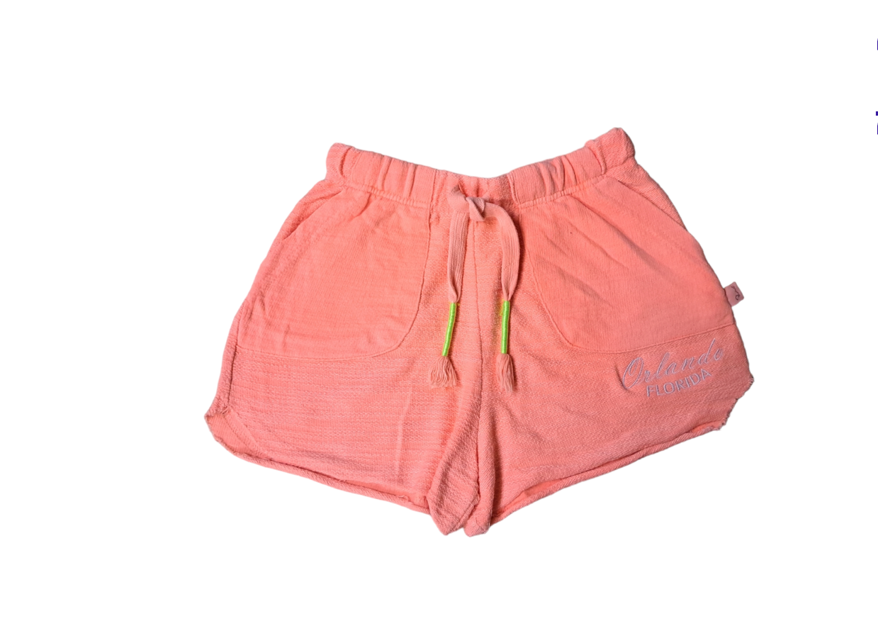 Orlando Florida Orange Shorts