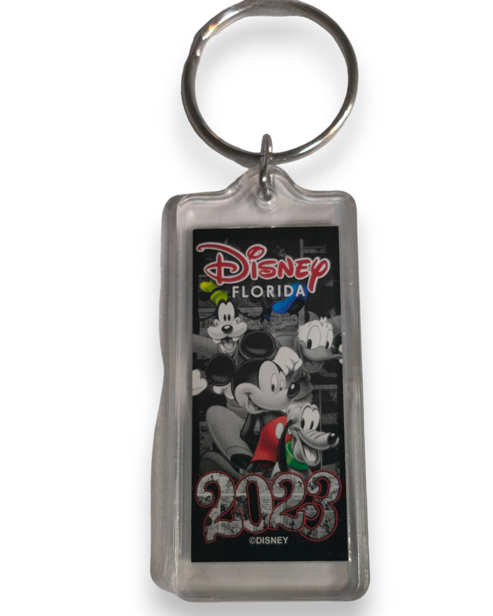 2023 Disney Florida Souvenir Keychain with Mickey and Friends, Party Lucite Key Ring