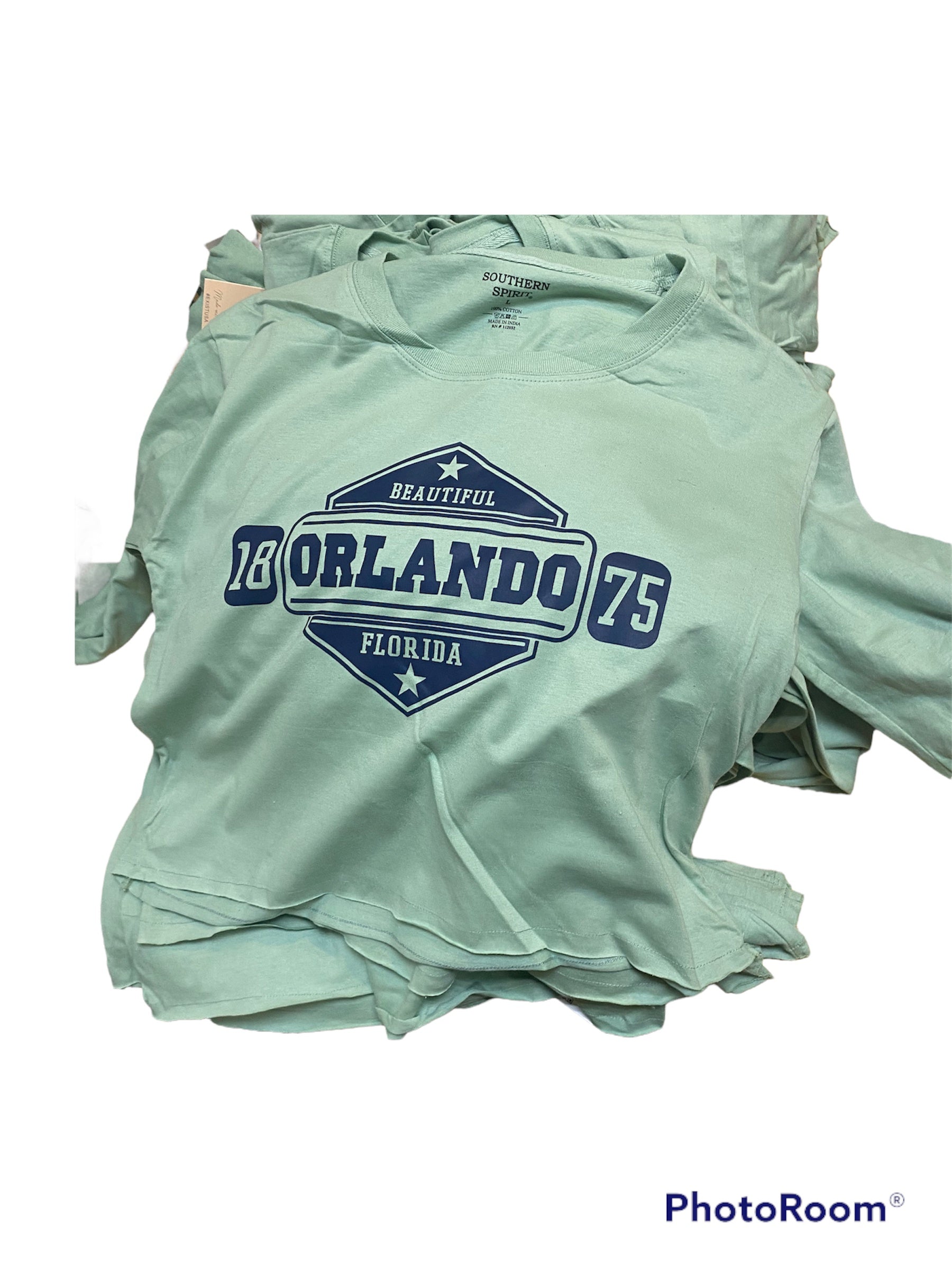 Beautiful Orlando Florida Long Sleeve Sage T-Shirt