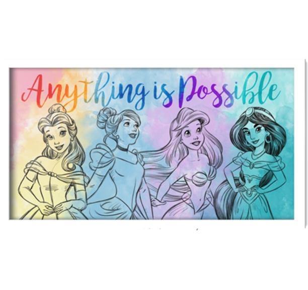 Disney Princess Anything is Possible 10in x 18in Framed Gel Wall Art