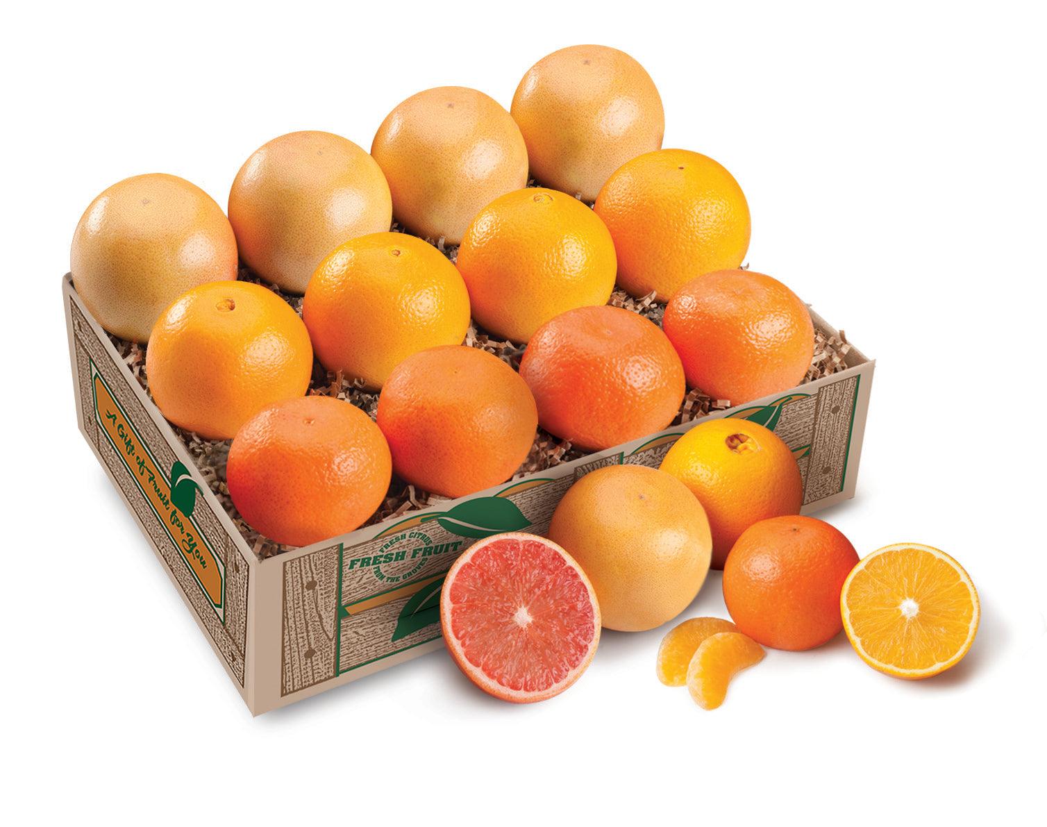 Florida Fruit Trio