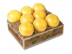 Florida White Grapefruit