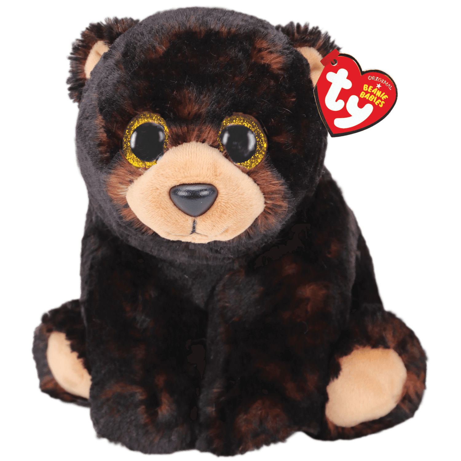Kodi Black Bear Medium