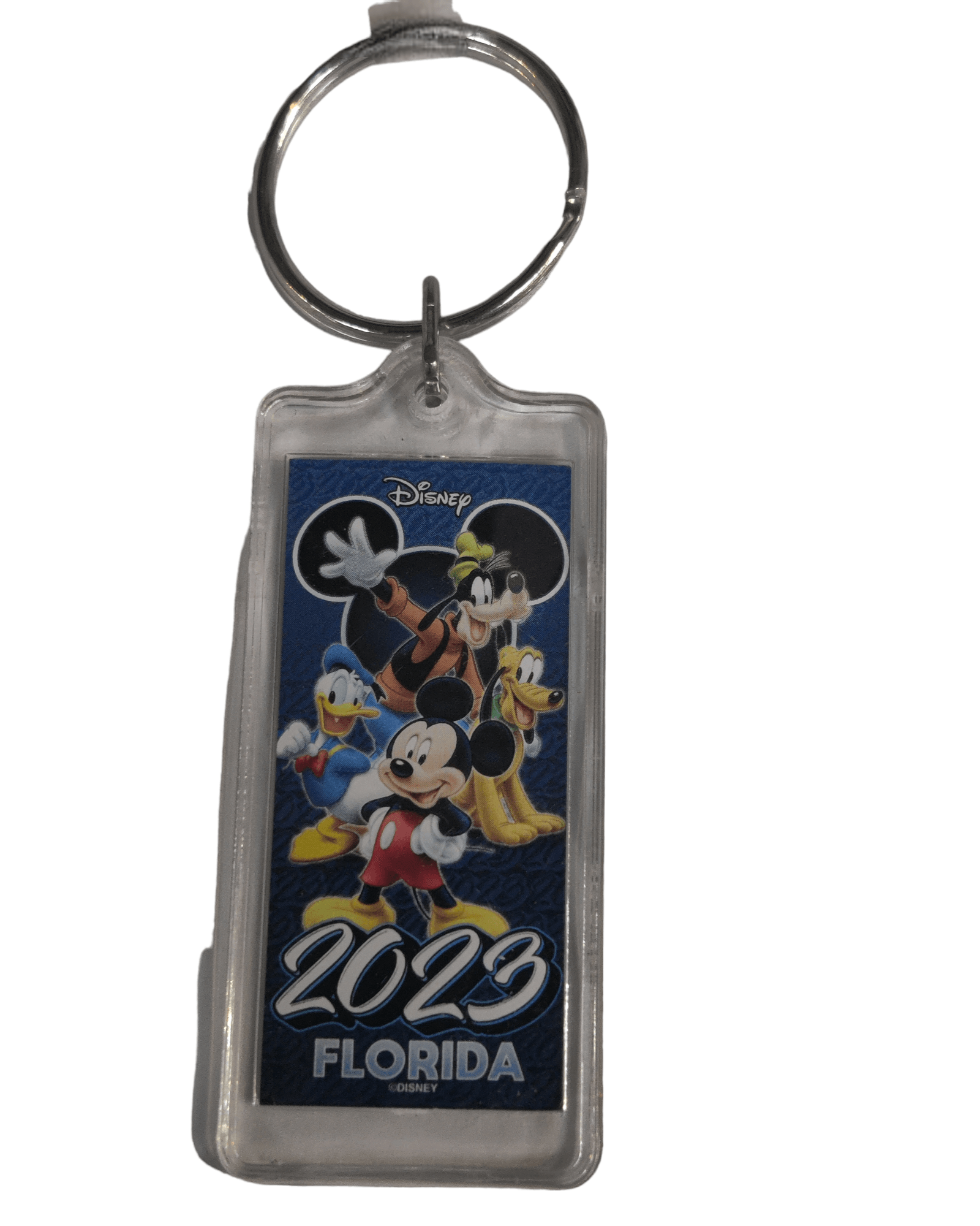 Let celebrate! 2023 with Mickey and Friends Disney Florida Souvenir Lucite Keychain