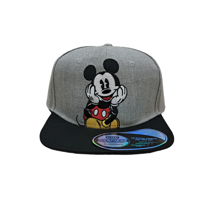 Mickey 6 Panel Hat Heather Grey