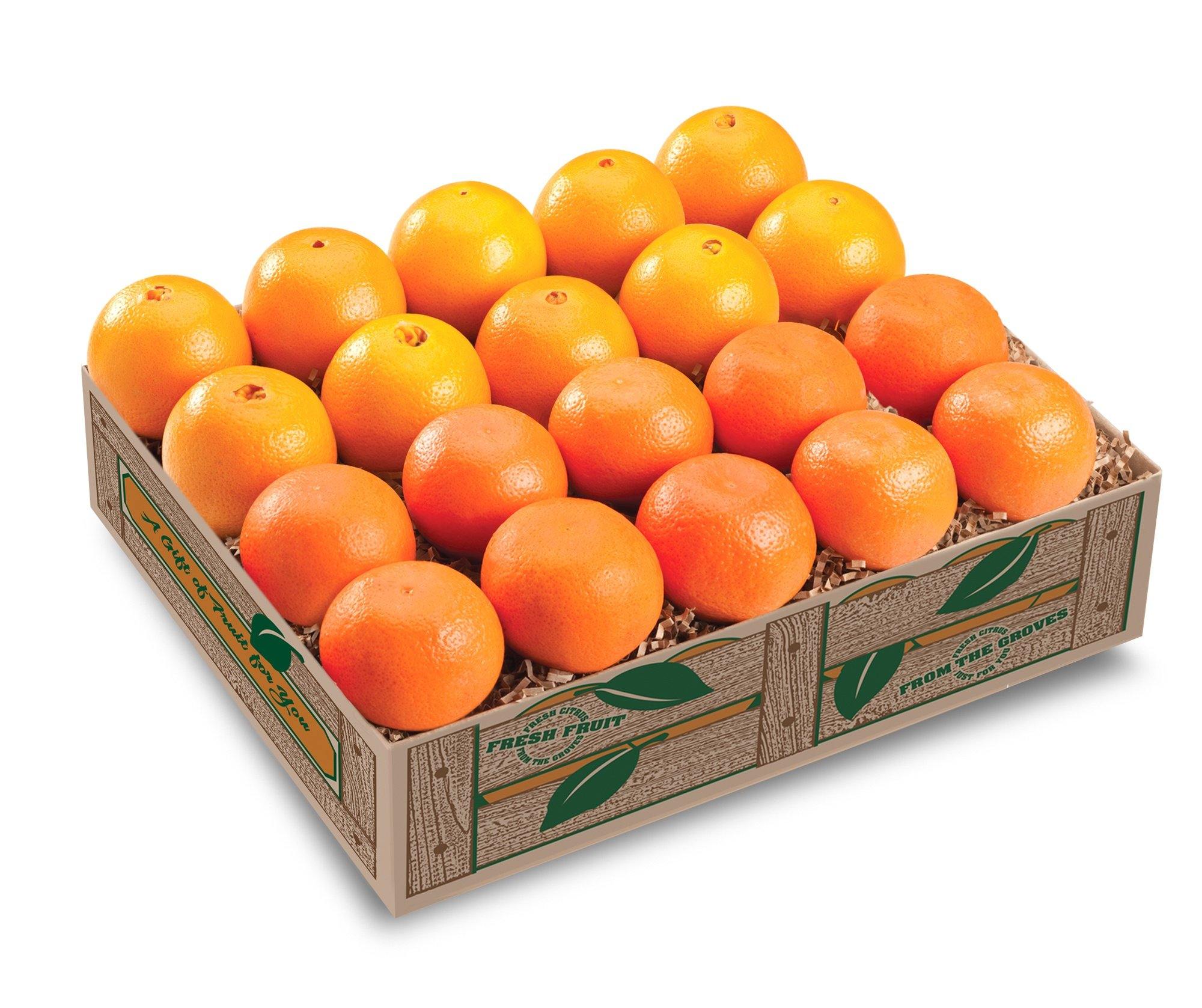 Navel Oranges and Mandarin Oranges Combo