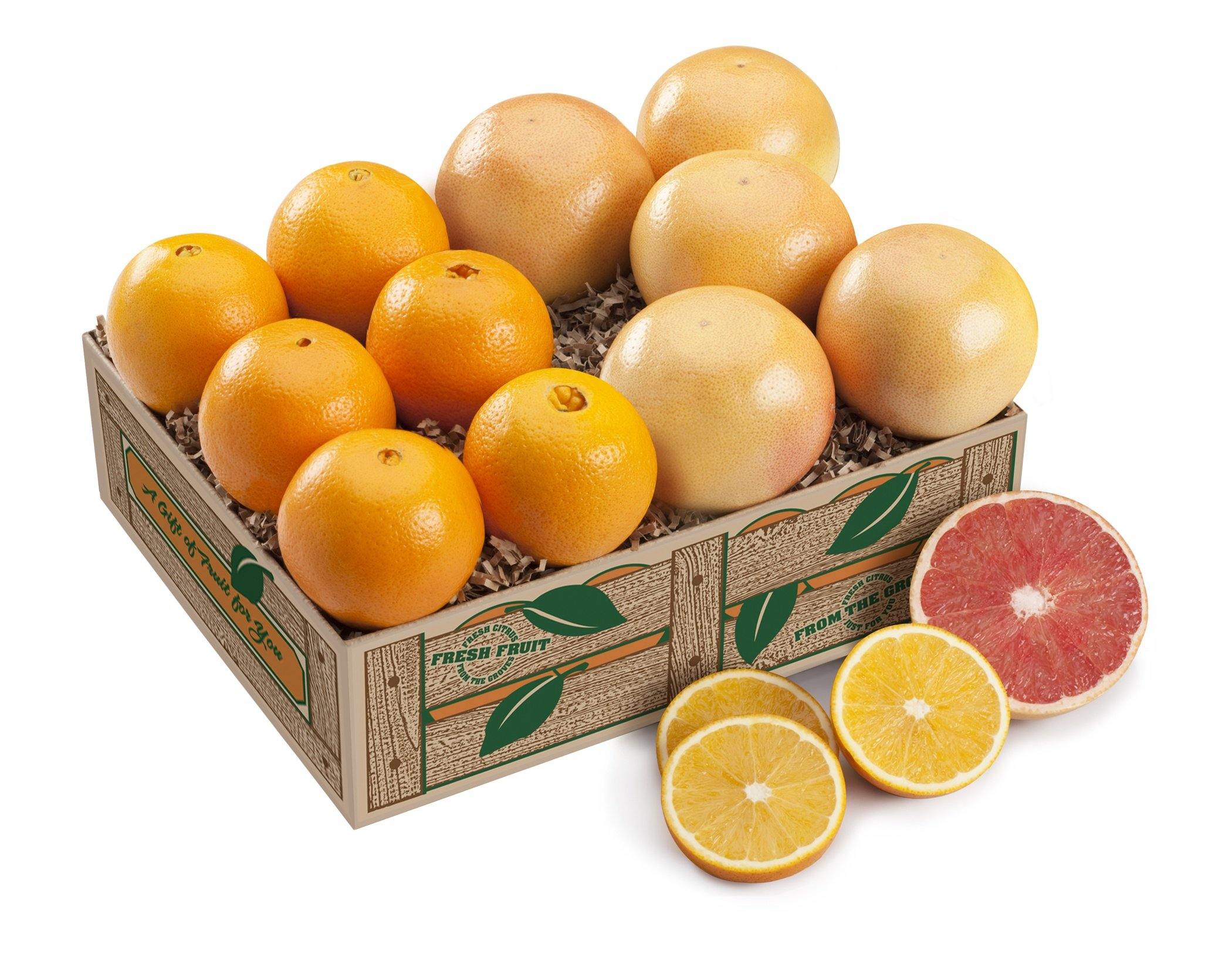 Navel Oranges and Ruby Red Grapefruits