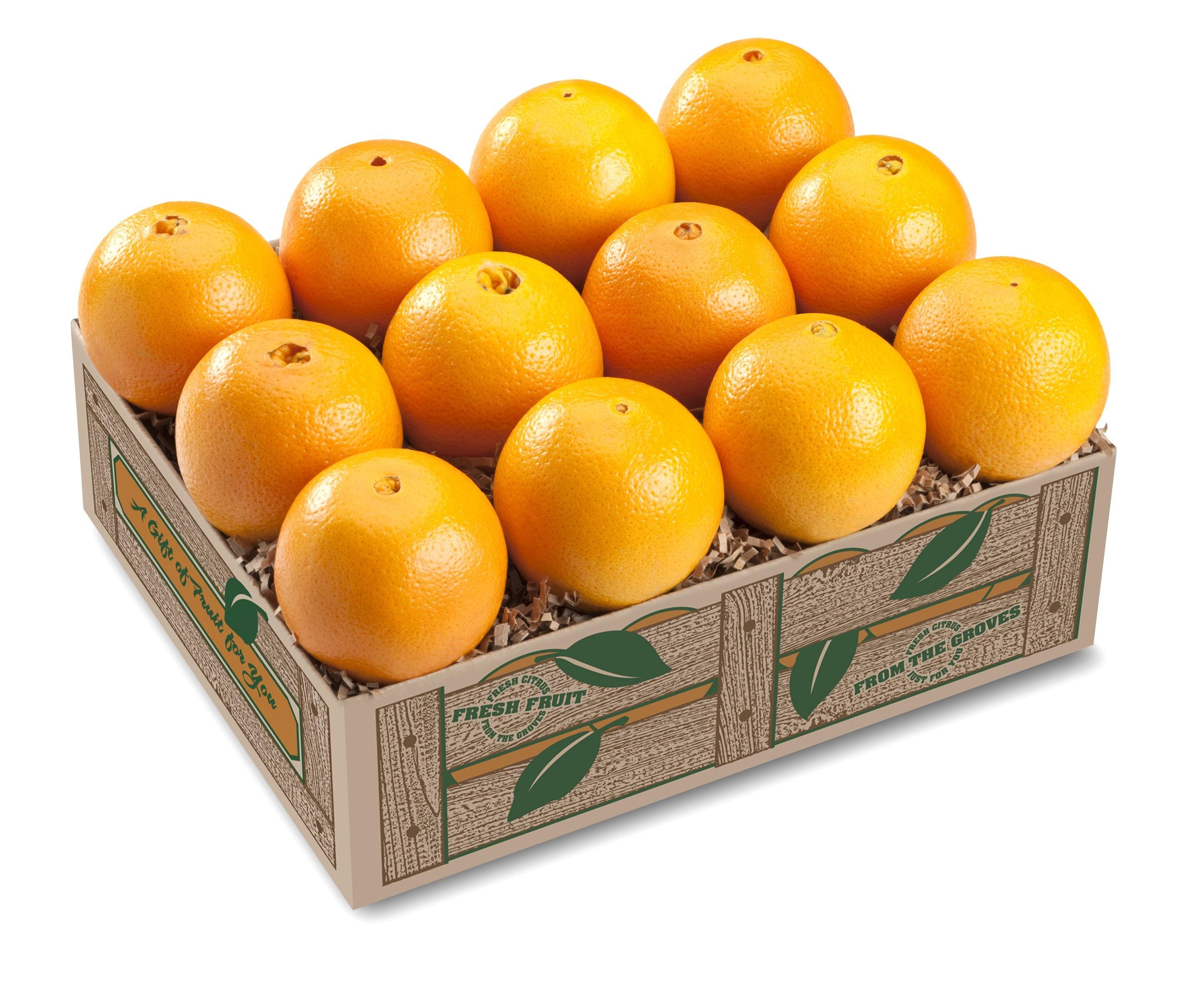 Navel Oranges