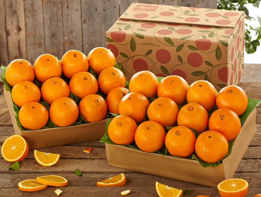 Navel Oranges