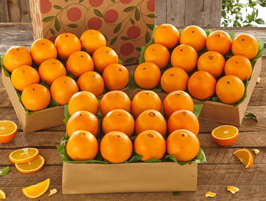 Navel Oranges