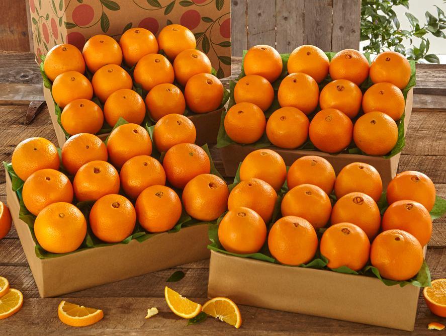 Navel Oranges