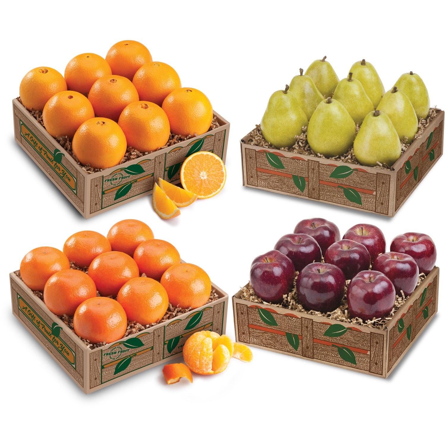 Orchard Galore Medley
