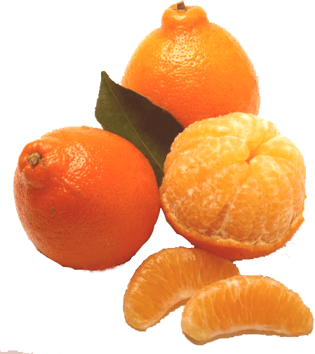 Petite Sweet Honeybells
