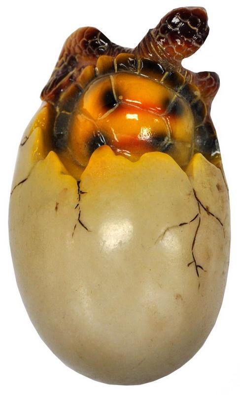 Poly Turtle Hatchlings