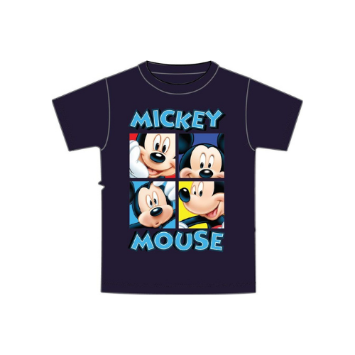 RG BOXED MICKEY S/S TEE